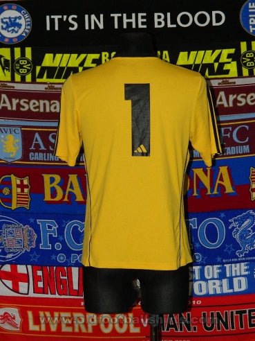 Bognor Regis Town Goalkeeper football shirt 2015 - 2016