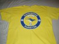 Farnborough FC Training/Leisure football shirt 2000 - 2008