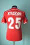 Metalurh Zaporizhya Home football shirt 2014 - 2015