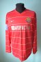 Metalurh Zaporizhya Home football shirt 2009 - 2010