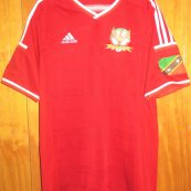 Home football shirt 2015 - 2016