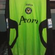 Goalkeeper football shirt 2008 - 2009