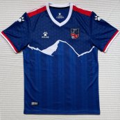 Away football shirt 2024 - 2025