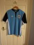 Botswana Home football shirt 2012 - 2015