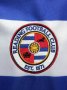 Reading Home football shirt 2004 - 2005