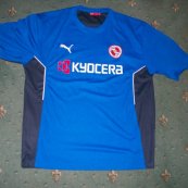 Training/Leisure football shirt (unknown year)