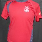 Training/Leisure football shirt 2008 - 2009