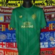Training/Leisure football shirt 2017 - 2018
