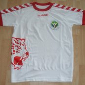 Away football shirt (unknown year)