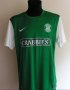Hibernian Home football shirt 2013 - 2014