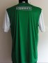 Hibernian Home football shirt 2013 - 2014