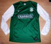 Hibernian Home football shirt 2013 - 2014
