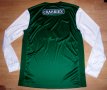 Hibernian Home football shirt 2013 - 2014
