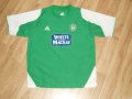 Hibernian Home football shirt 2004 - 2005
