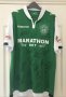 Hibernian Home football shirt 2017 - 2018