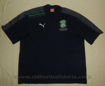 Hibernian Training/Leisure football shirt 2011 - 2012