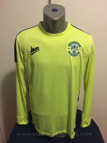 Hibernian Training/Leisure football shirt 2016 - 2017