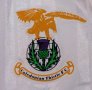 Inverness Caledonian Thistle Home football shirt 1995 - 1997