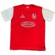 Home football shirt 2001 - 2002