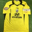 Home football shirt 2010