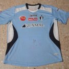 Home football shirt 2010 - 2011