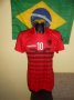 Albania Home football shirt 2016 - 2017