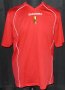 Partick Thistle Treino/Passeio camisa de futebol 2006 - 2011