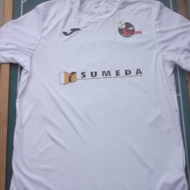 Suduva  Home football shirt 2017 - 2018 sponsored by Sumeda