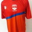 Special football shirt 2012