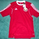 Away football shirt 2013 - 2014