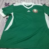 Third football shirt 2014