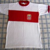 Training/Leisure football shirt (unknown year)