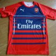 Training/Leisure football shirt 2014 - 2015