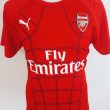 Training/Leisure football shirt 2015 - 2016