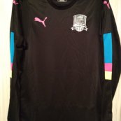 Goalkeeper football shirt 2016 - 2017