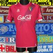 Away football shirt 2013 - 2014