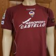 Away football shirt 2007 - 2008