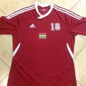Home football shirt 2012 - 2014