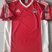 Home football shirt 2007 - 2014