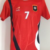 Away football shirt 2013