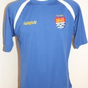 Third football shirt 2014 - ?