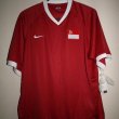 Home football shirt 2010 - 2011