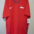 Home football shirt 2008 - 2010