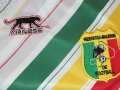 Mali  Home football shirt 2013 - 2014