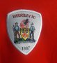 Barnsley Home football shirt 2014 - 2015