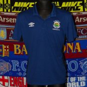 Training/Leisure football shirt 2018 - 2019