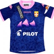 Away football shirt 2013 - 2014