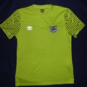 Training/Leisure football shirt (unknown year)