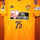 Home football shirt 2015