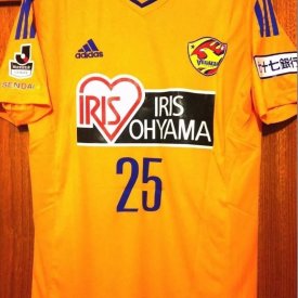 Vegalta Sendai Home football shirt 2015 sponsored by Iris Ohyama